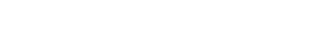 IlariX wordmark